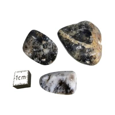 Agate Dendritique - pierre roulée