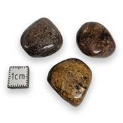 Bronzite - pierre roulée