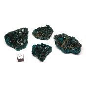 Dioptase - Lot n°02 - Pierre Brute