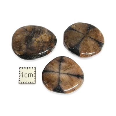 Chiastolite - mini pierres plates