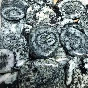 Diorite Orbiculaire - pierres plates